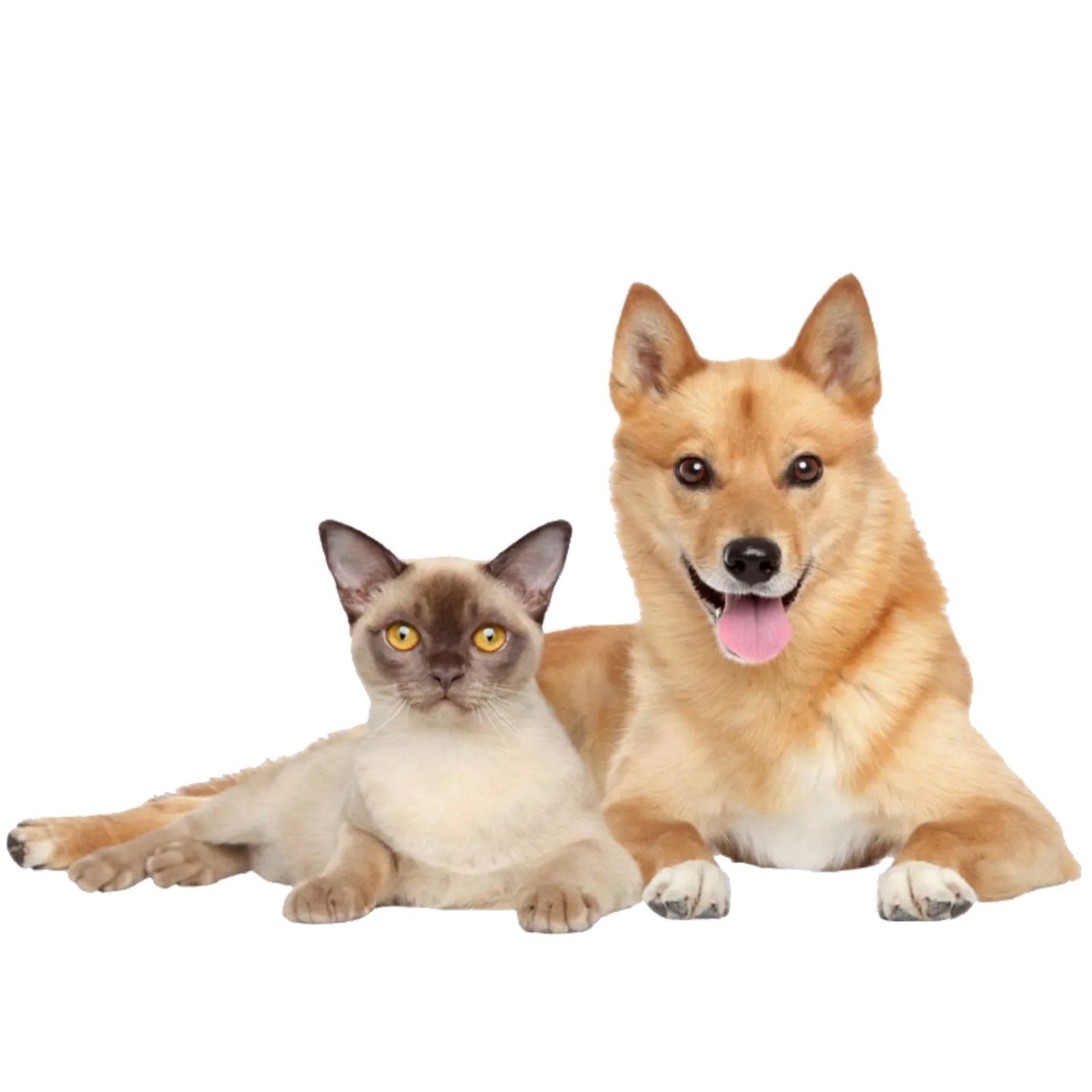 News PELOBiotech GmbH