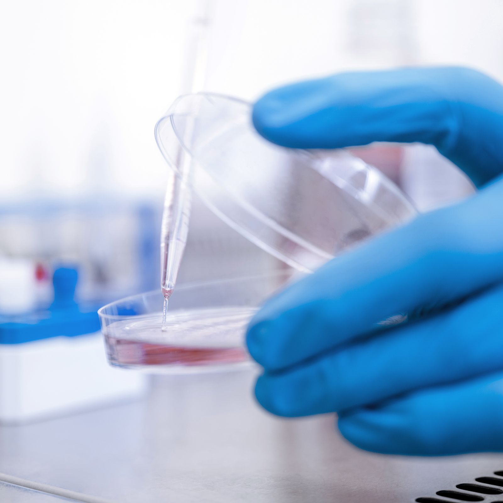 Clinical application GMP | PELOBiotech GmbH Clinical application GMP PELOBiotech GmbH