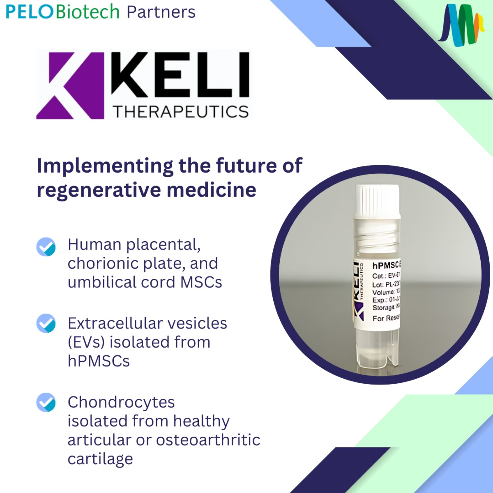 News PELOBiotech GmbH