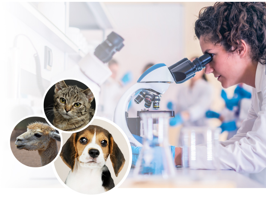 Lab4Paws PELOBiotech GmbH