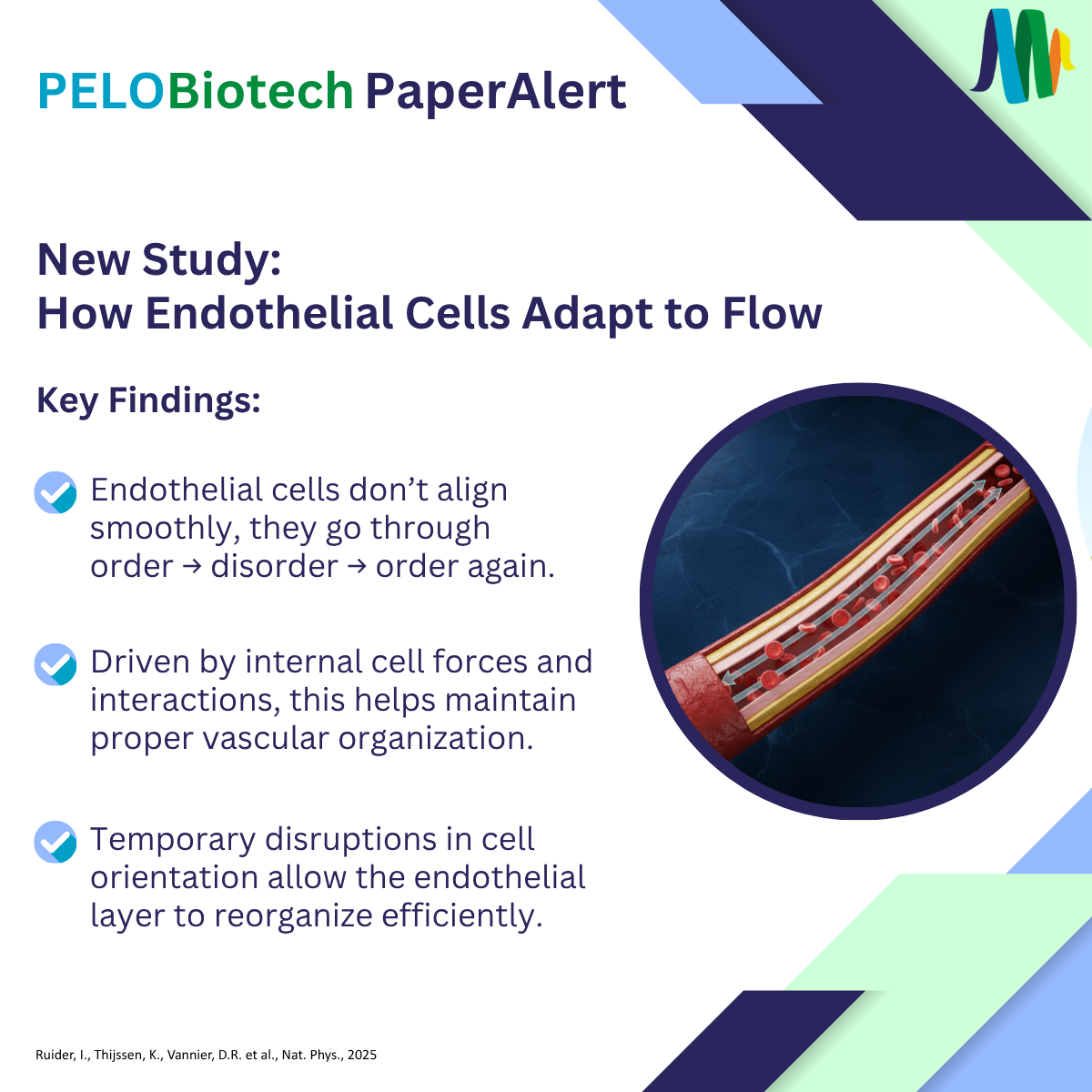 News PELOBiotech GmbH