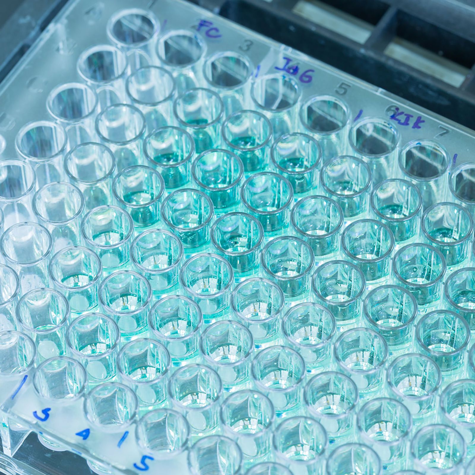 Home PELOBiotech GmbH