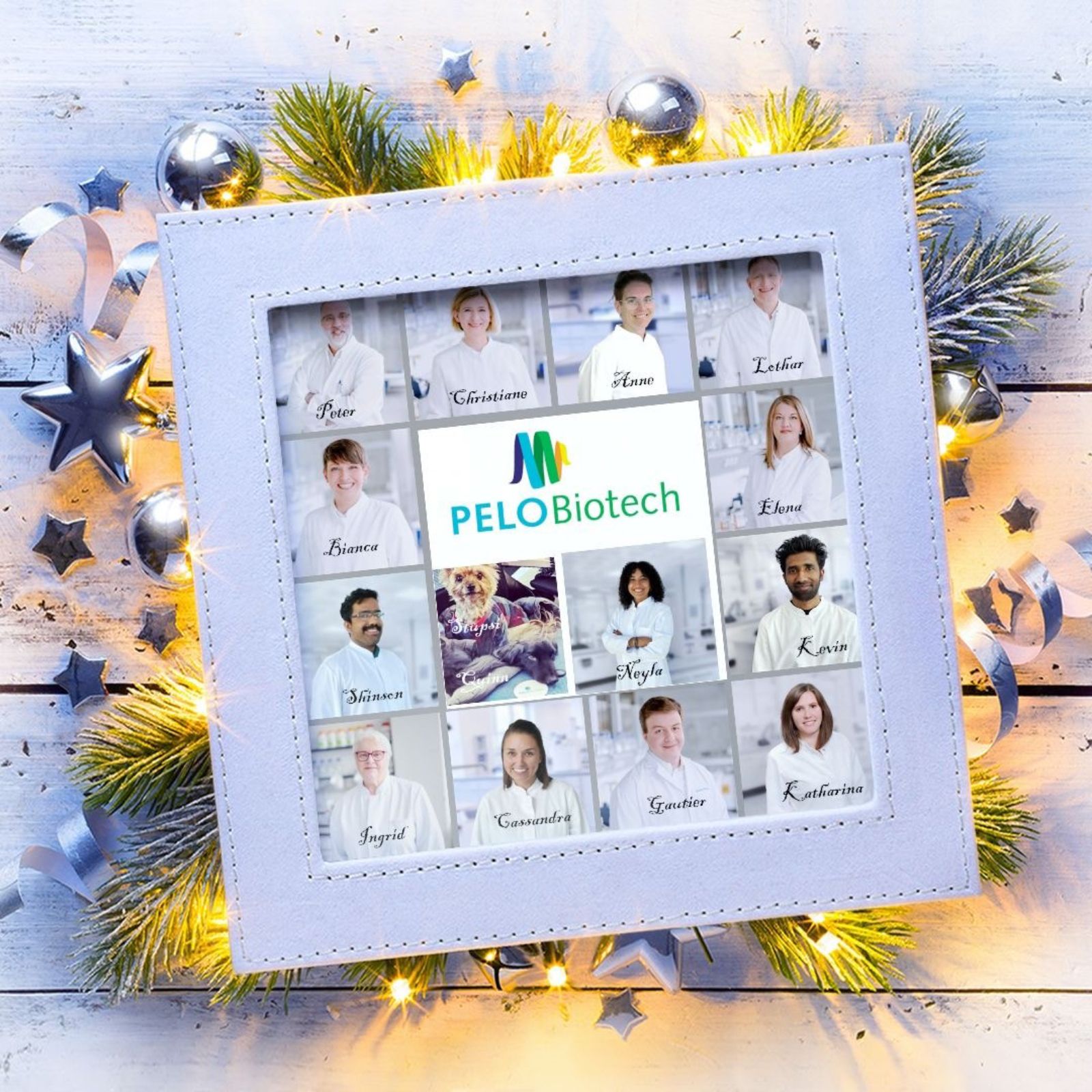 News PELOBiotech GmbH